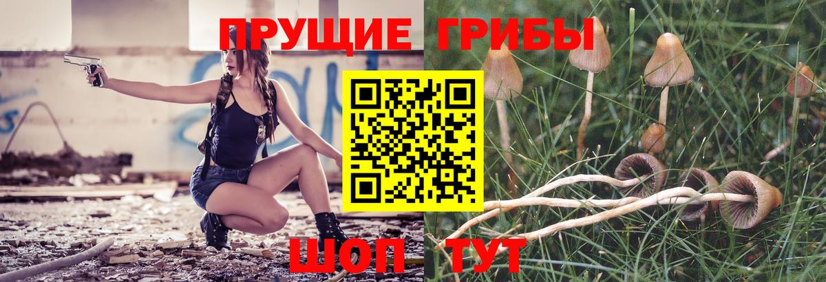 Галлюциногенные грибы ЛСД Ногинск